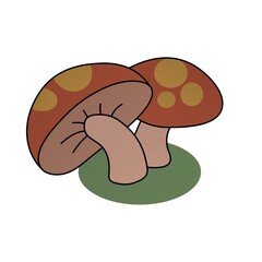 Illustration of Beautiful Brown Mushrooms, Flat Design