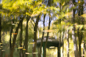 Blurry, autumn reflection in the forest. Ripples in the water.