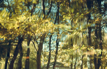 Autumn reflection in the forest. Ripples in the water.