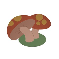 Illustration of Beautiful Brown Mushrooms, Flat Design