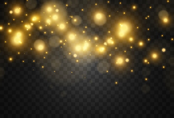 Bright beautiful star.Vector illustration of a light effect on a transparent background.