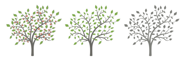 Tree with green leaves and red fruit in three versions on a white background