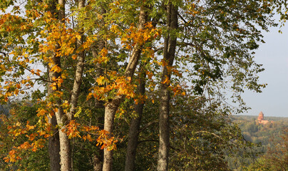 Beautiful aerial evening view of the golden autumn in Sigulda, Latvia. Tourism in Europe. Green. 