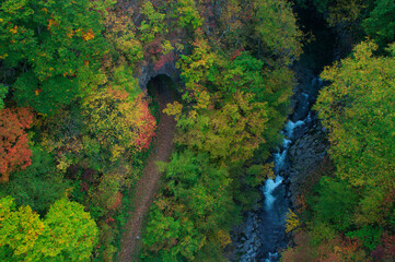 中津川渓谷の紅葉