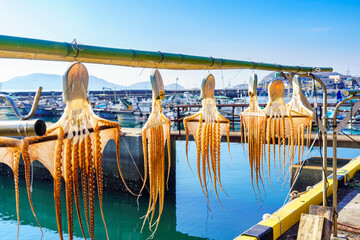 下津井の干しダコ