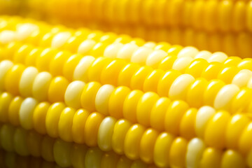 ゆでた　とうもろこしのアップ