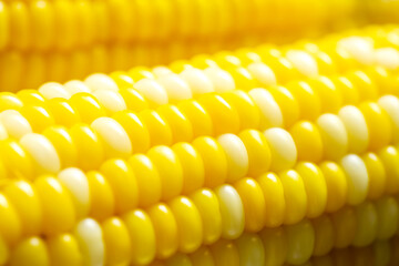 ゆでた　とうもろこしのアップ
