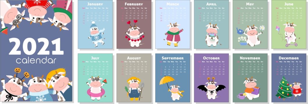 Vector calendar 2021 with symbol of new year. Cute bull or cow, in different seasons, doing hobbies. Set of 12 isolated months and cover. A4 format for print. Week starts from Sunday. 