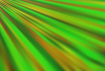 Light Green vector background with straight lines.