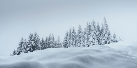 Winterpanorama mit Winterlandschaft und Wald