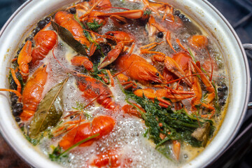 Crayfish are boiling in a large saucepan with dill on the fire