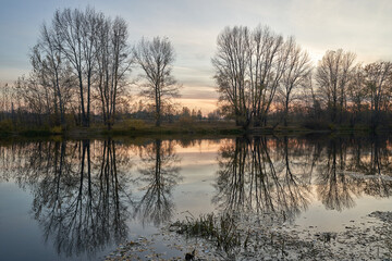 Autumn view of the lake, in the forest with Golden leaves . Autumn time in the forest. Autumn.