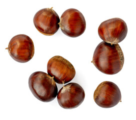 Chestnuts  isolated on white background. Chestnut Pattern.  Top view. Flat lay