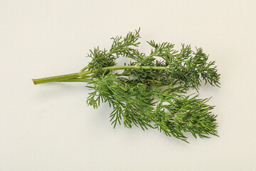 Aroma seasoning - Green Dill branch