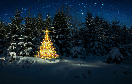 Golden Christmas tree in winter forest and stars sky.Christmas Card.