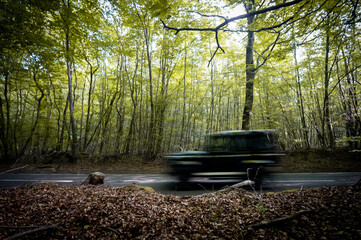 Rural Transport - An SUV Vehicle Travels At Speed Though A Forrest. The Image is Landscape And Is Taken From The Side Of The Road With Motion Blur