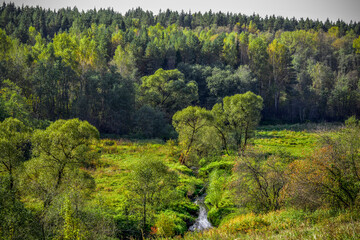 Fototapeta na wymiar View of the green forest and river from a height.
