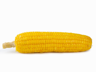 Fresh corn on white background.