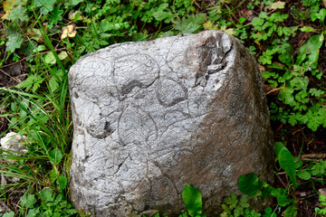 Austria, National Park Kalkalpen, prehistoric deposit