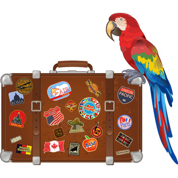 Travel suitcase and Red parrot macaw