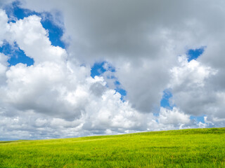 Blue sky with big white clouds filling most of sky overgreen field in southwest Florida