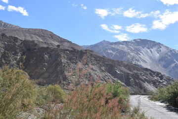 Fototapeta na wymiar mountains in the mountains along with shyok river Leh Ladakh 