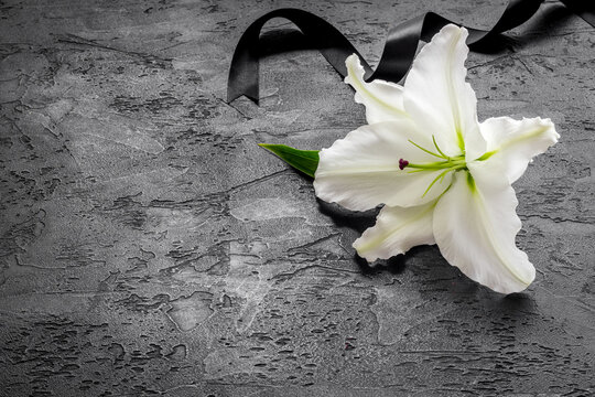 Fototapeta Condolence card with white flowers lily. Funeral symbol
