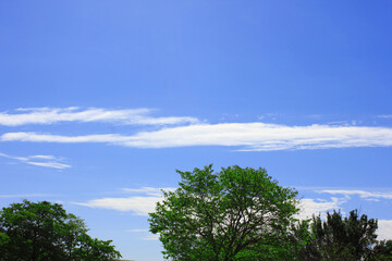秋空にポッカリ浮いた白い雲