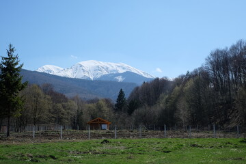 bergansicht berge rumänien karpaten