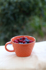 Cup of raspberries and blueberries in a garden. Selective focus.