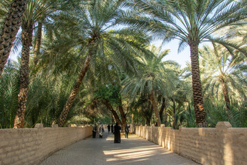 Obraz premium Arab women in hijab walking around and taking pictures of the palm trees in United Arab Emirates