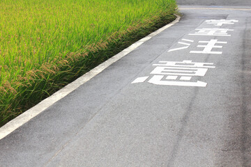 Obraz premium 田園地帯の通学路
