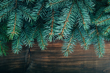 wooden background with Christmas tree branches