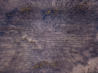 Drone view of burnt forest after the fire