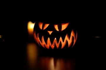 Fototapeta premium halloween pumpkin kürbis