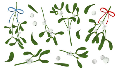Set of Mistletoe (Viscum) branches with white berries and ribbons. Christmas tradition Kissing bough. Vector illustration isolated on white. Flat cartoon design. For cards, poster, banner, invitation.
