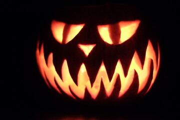 halloween pumpkin kürbis