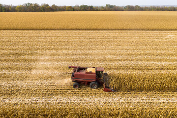 Fototapeta na wymiar Red farm combine harvesting corn on an autumn day aerial view.