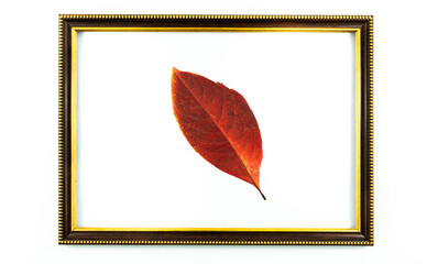 Autumn composition decorative wooden frame with red leaf in center on white isolated background