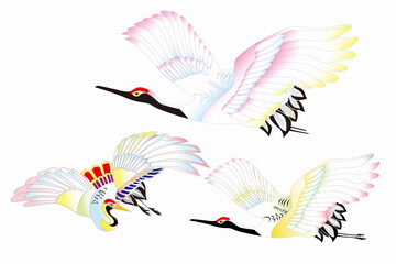 Fototapeta premium 鶴