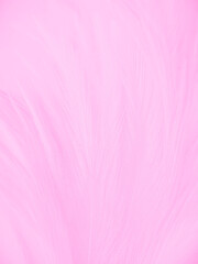 Beautiful abstract gray and pink feathers on white background,  white feather frame texture on pink...