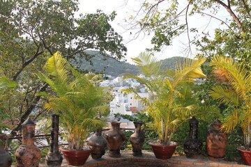 flowers in a garden vietnam