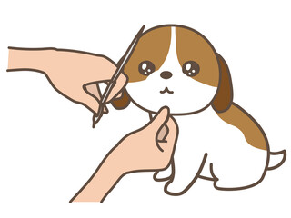 トリミングサロンの道具 アイコンイラストセット Brush Wall Mural Bru Yamamedal