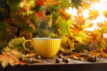 Naklejka na ściany i meble Yellow cup of tea in autumn foliage with acorns and nuts. Autumn vibe.