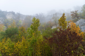 Herbst im Oberen Donautal
