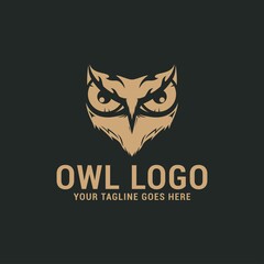 Owl animals logo icon vector template. Premium design owl logo concept.