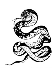 A black snake on a white background is preparing to attack, an illustration for Halloween.