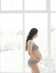 beautiful young pregnant woman at home