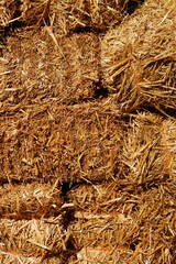 Bales of hay at a farm in autumn