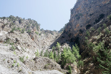 Landscape in the mountains